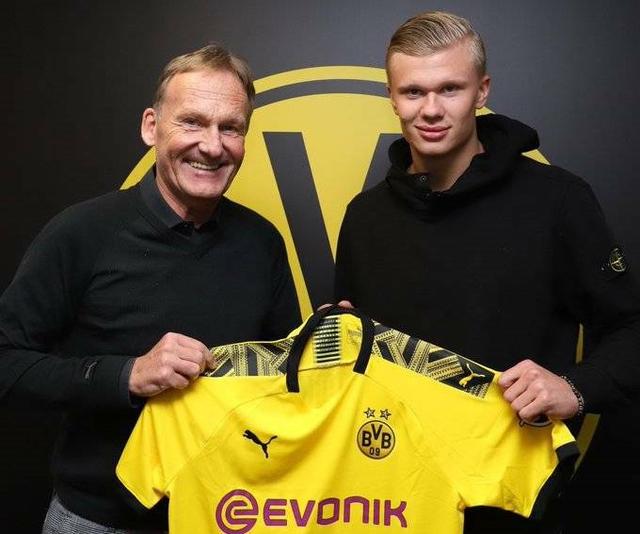 普遍经历 普遍经历